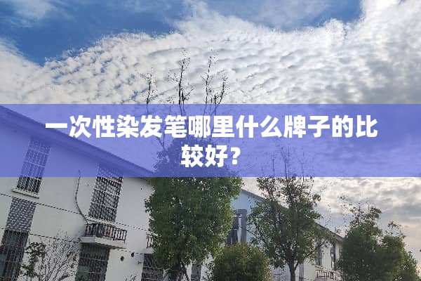 一次性染发笔哪里什么牌子的比较好？