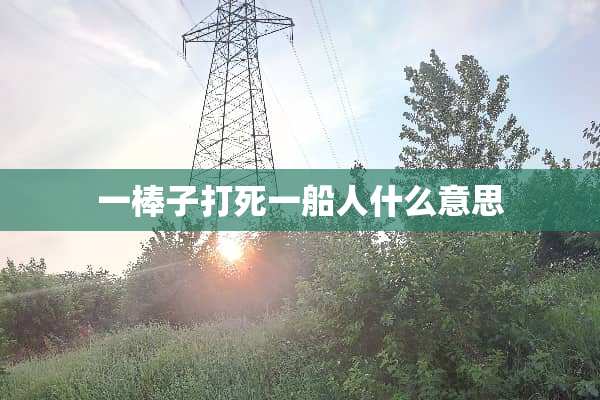 一棒子打死一船人什么意思