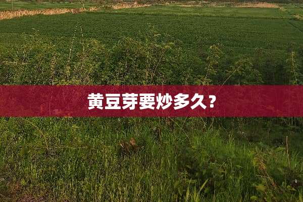 黄豆芽要炒多久？