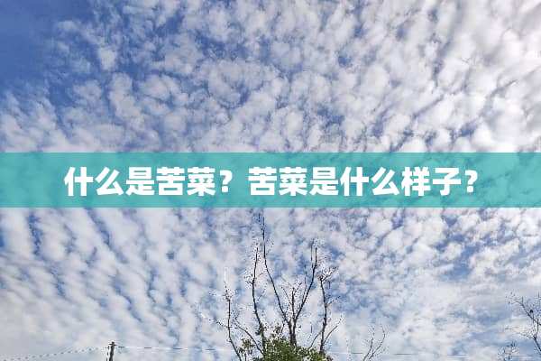 什么是苦菜？苦菜是什么样子？