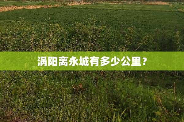 涡阳离永城有多少公里？