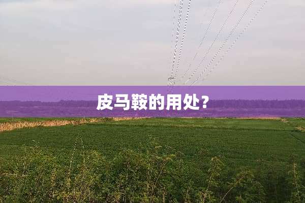 皮马鞍的用处？