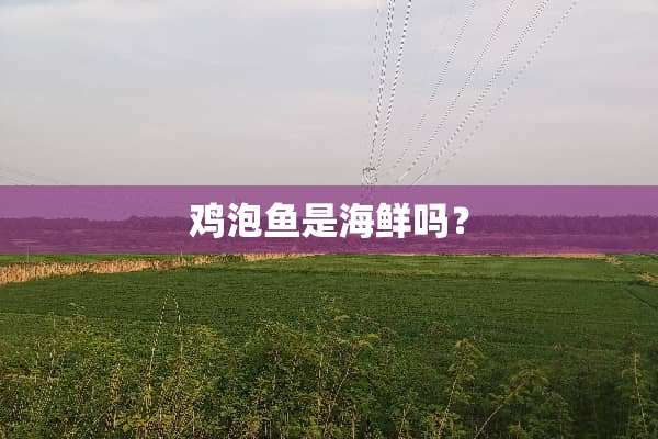 鸡泡鱼是海鲜吗？