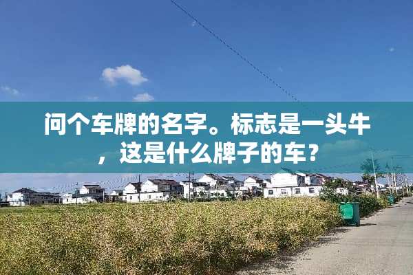 问个车牌的名字。标志是一头牛，这是什么牌子的车？