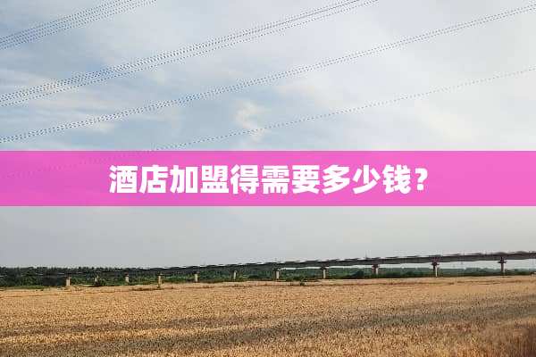 酒店加盟得需要多少钱？