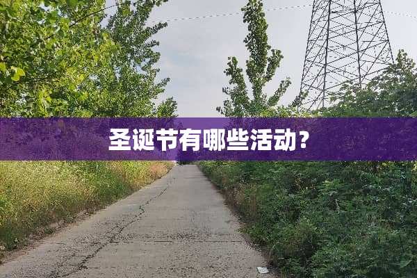 圣诞节有哪些活动？