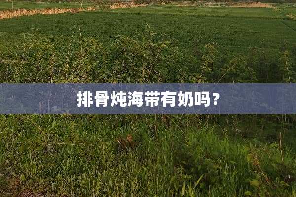 排骨炖海带有奶吗？