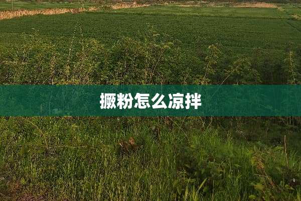 撅粉怎么凉拌