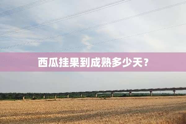 西瓜挂果到成熟多少天？