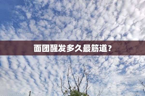 面团醒发多久最筋道？