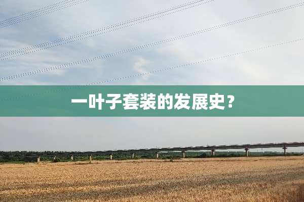 一叶子套装的发展史？