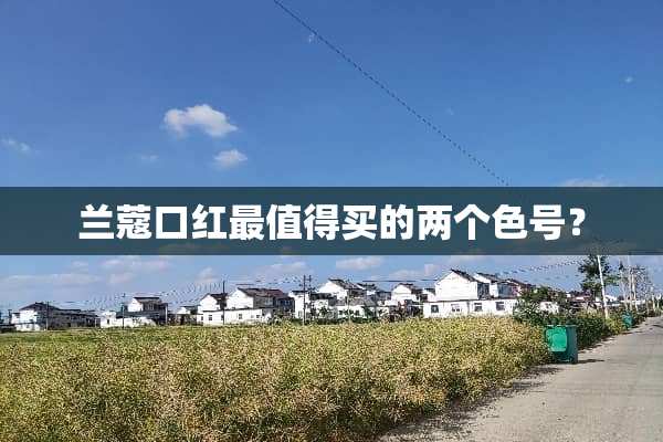 兰蔻口红最值得买的两个色号？