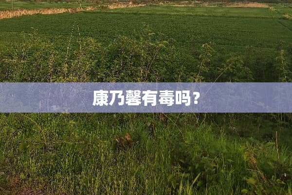 康乃馨有毒吗？