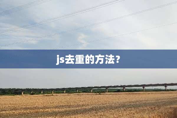 js去重的方法？