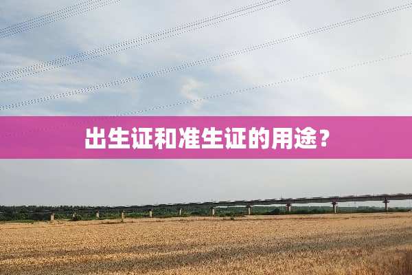 出生证和准生证的用途？