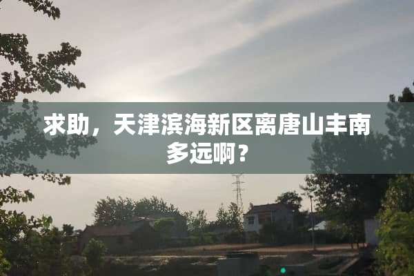 求助，天津滨海新区离唐山丰南多远啊？