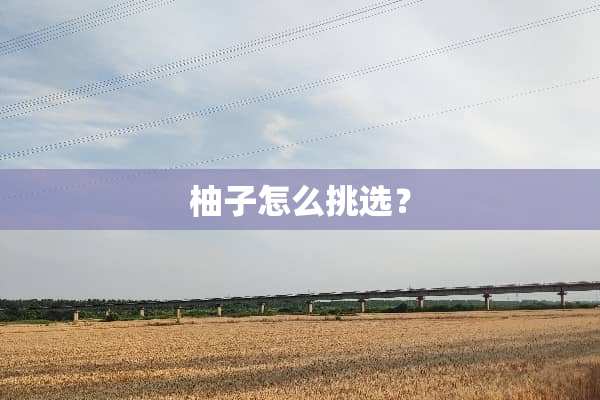 柚子怎么挑选？
