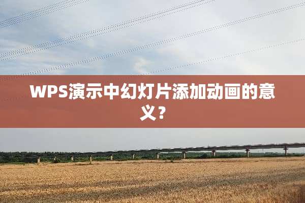 WPS演示中幻灯片添加动画的意义？
