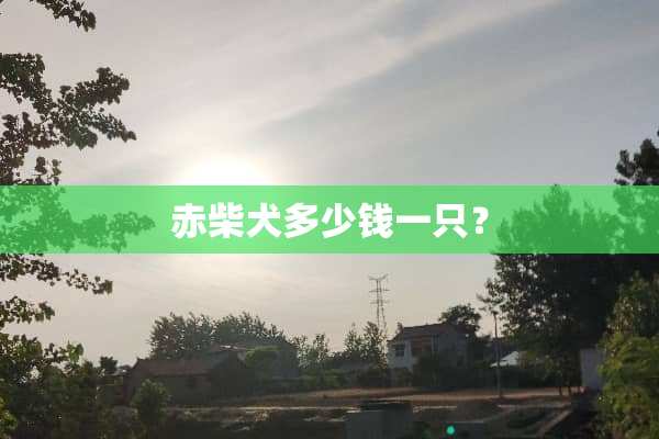 赤柴犬多少钱一只？