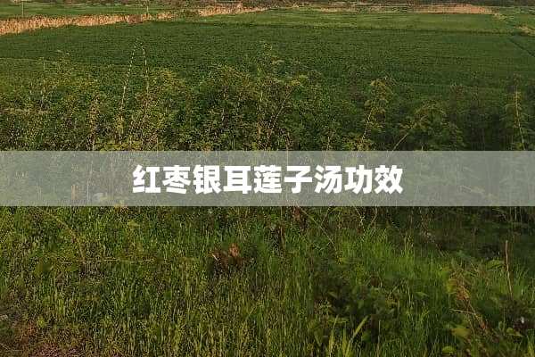 红枣银耳莲子汤功效