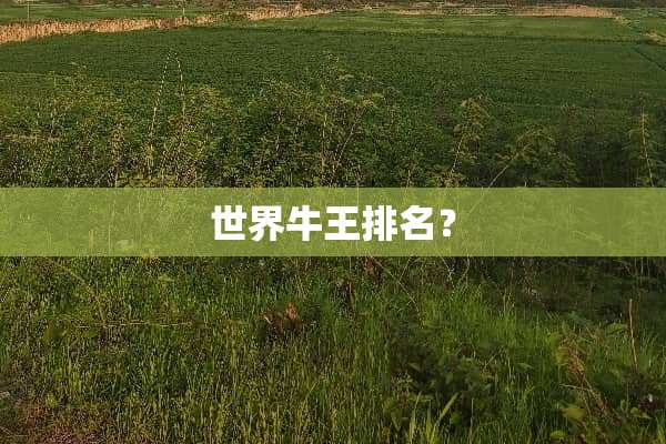 世界牛王排名？