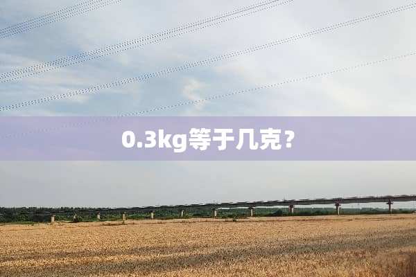 0.3kg等于几克？