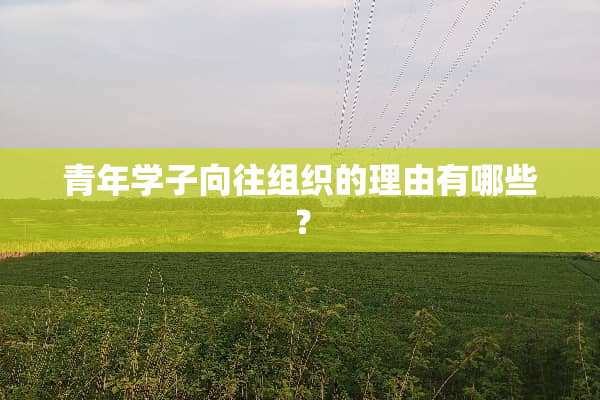 青年学子向往组织的理由有哪些？
