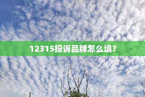 12315投诉品牌怎么填？