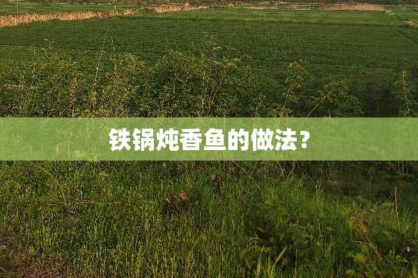 铁锅炖香鱼的做法？