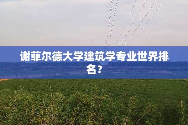 谢菲尔德大学建筑学专业世界排名？