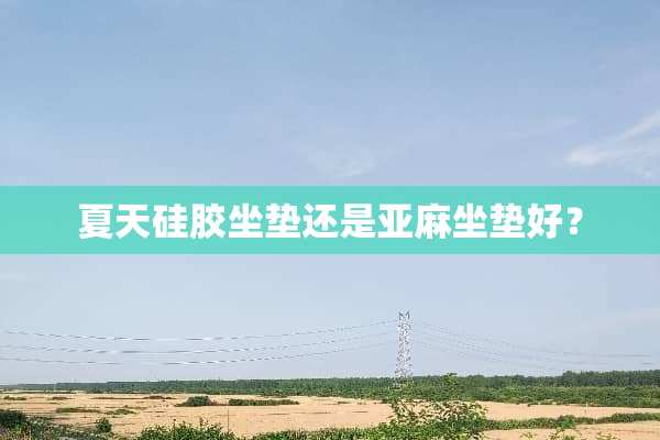 夏天硅胶坐垫还是亚麻坐垫好？
