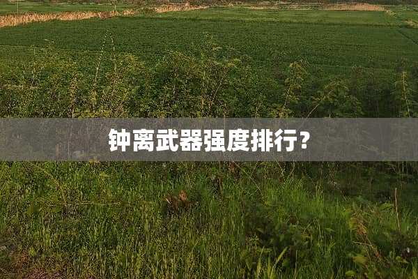钟离**强度排行？