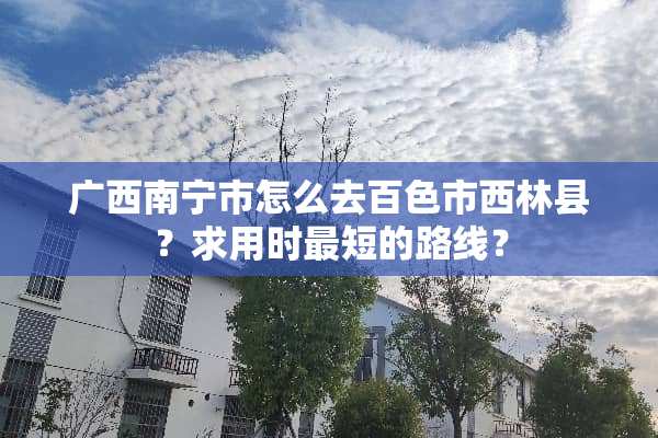 广西南宁市怎么去百色市西林县？求用时最短的路线？