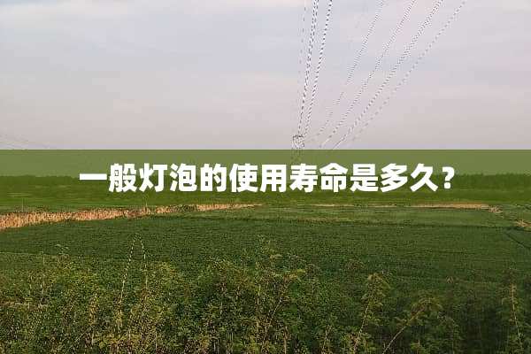 一般灯泡的使用寿命是多久？