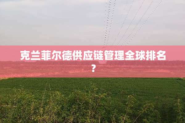 克兰菲尔德供应链管理全球排名？
