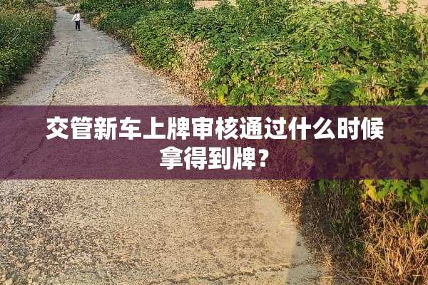交管新车上牌审核通过什么时候拿得到牌？