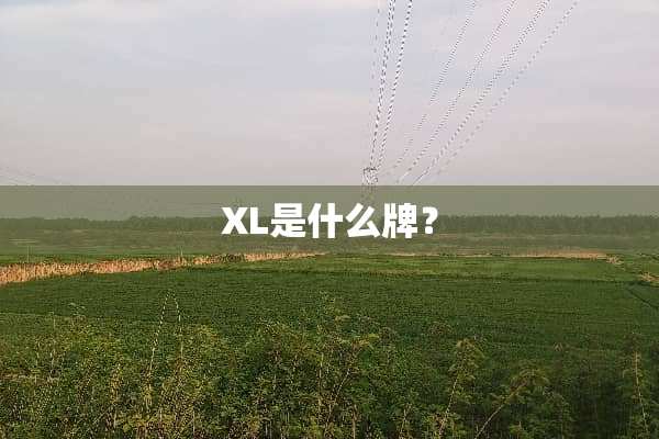 XL是什么牌？