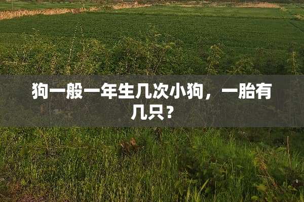 狗一般一年生几次小狗，一胎有几只？