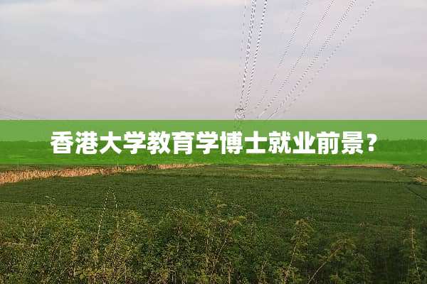 香港大学教育学博士就业前景？