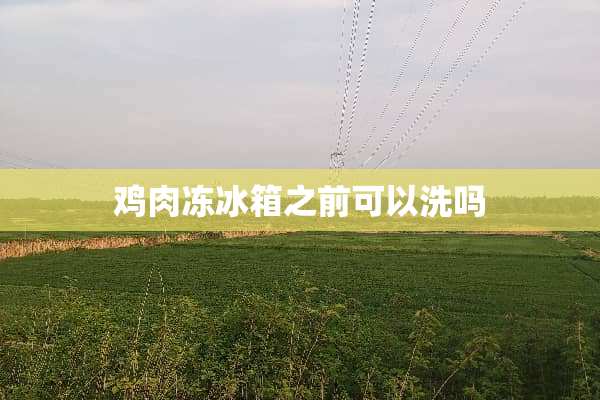 鸡肉冻冰箱之前可以洗吗