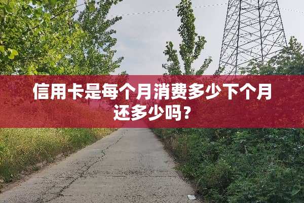 ***是每个月消费多少下个月还多少吗？