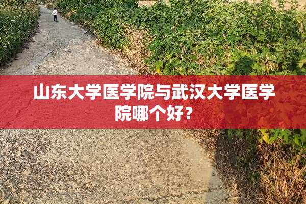 山东大学医学院与武汉大学医学院哪个好？