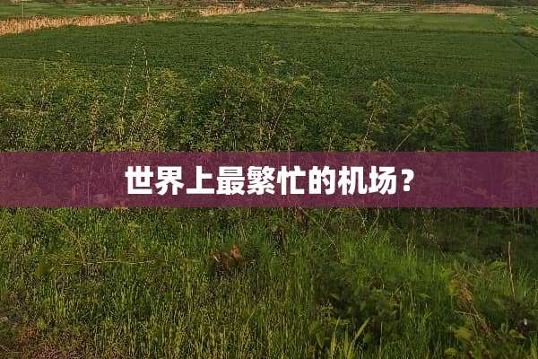 世界上最繁忙的机场？
