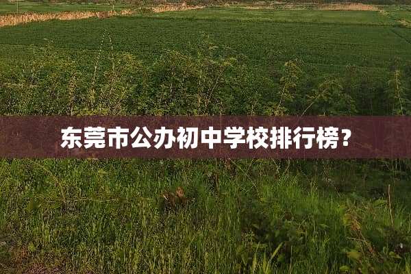 东莞市公办初中学校排行榜？