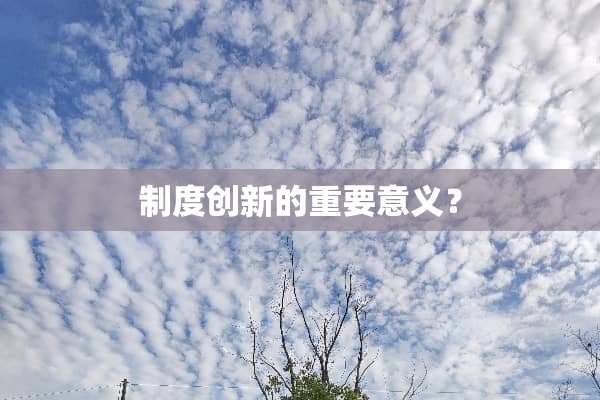 制度创新的重要意义？