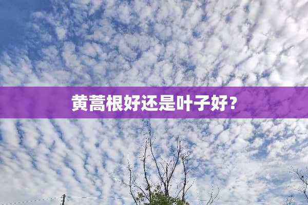 黄蒿根好还是叶子好？
