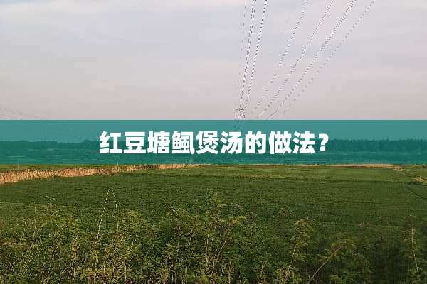 红豆塘鲺煲汤的做法？