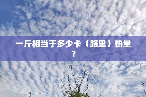 一斤相当于多少卡（路里）热量？