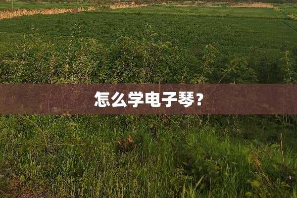 怎么学电子琴？