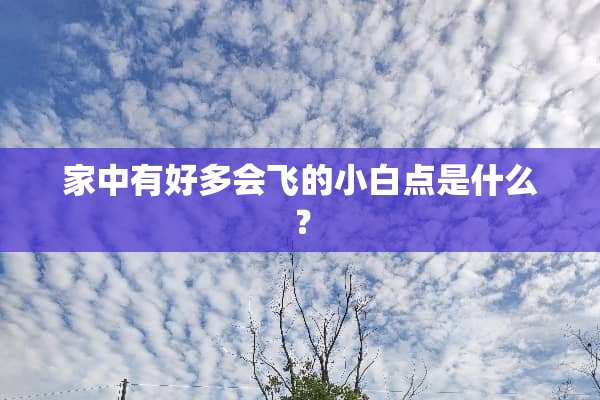 家中有好多会飞的小白点是什么？